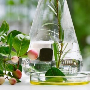 Organic Chemicals